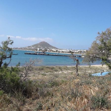 chez irene sweet pension Naxos City Exterior foto