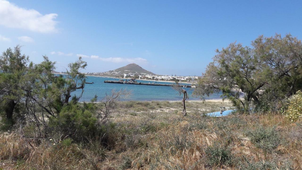 chez irene sweet pension Naxos City Exterior foto