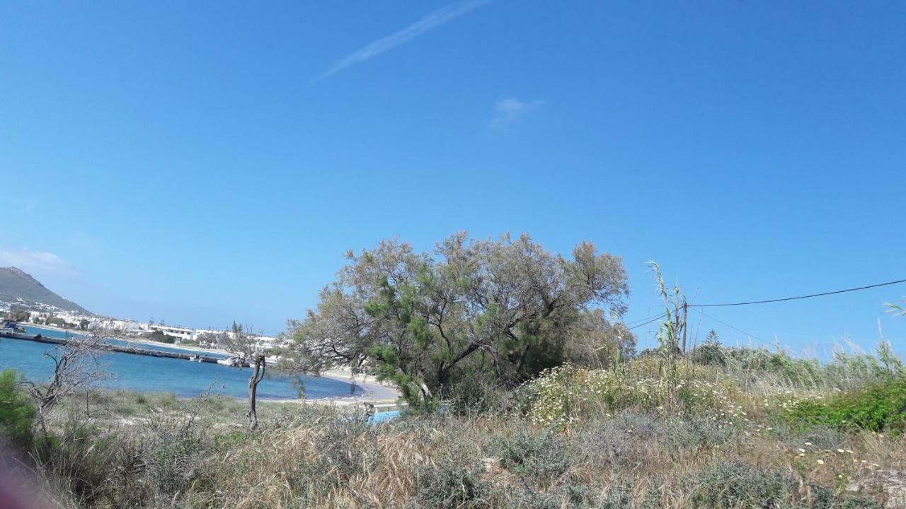 chez irene sweet pension Naxos City Exterior foto